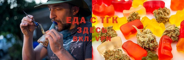 крисы Алзамай