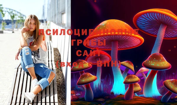 крисы Алзамай