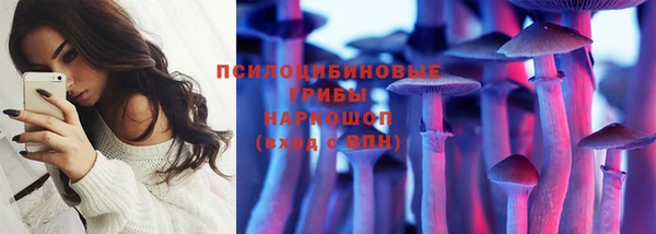 крисы Алзамай