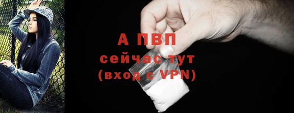 apvp Алексин