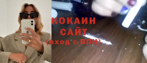 крисы Алзамай