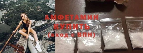 молекула духа Алексеевка