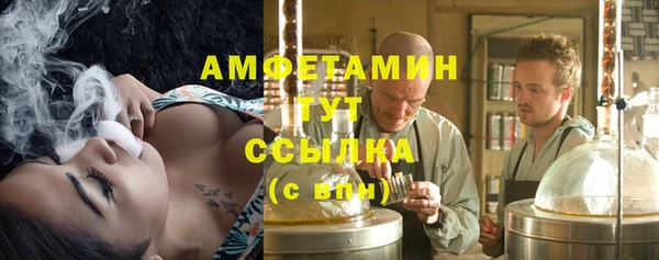 apvp Алексин