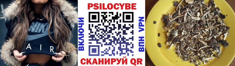 Галлюциногенные грибы мицелий мега вход Подольск